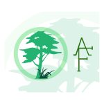 Logo Arico Forest